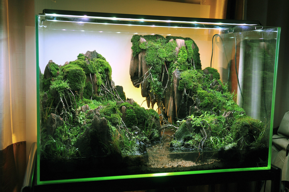 The Mystery Creek Small 2