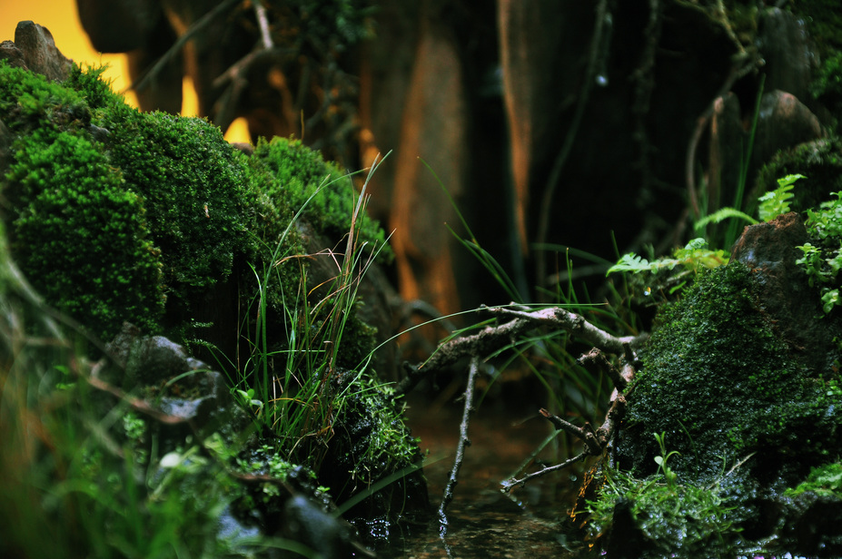 The Mystery Creek Small 4