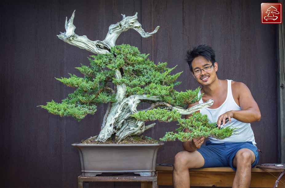 Juniperus - Tanuki Small 3