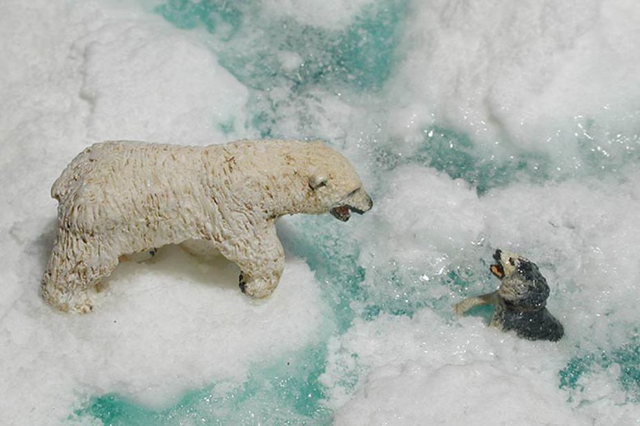 Inuit life Small 12