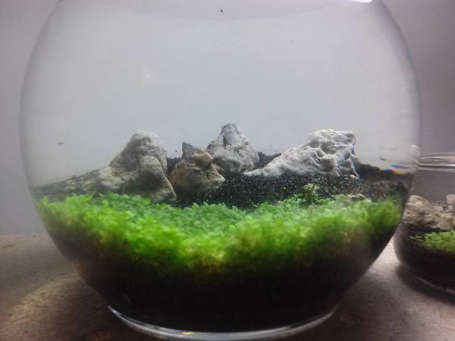 Little Rocks Small 2