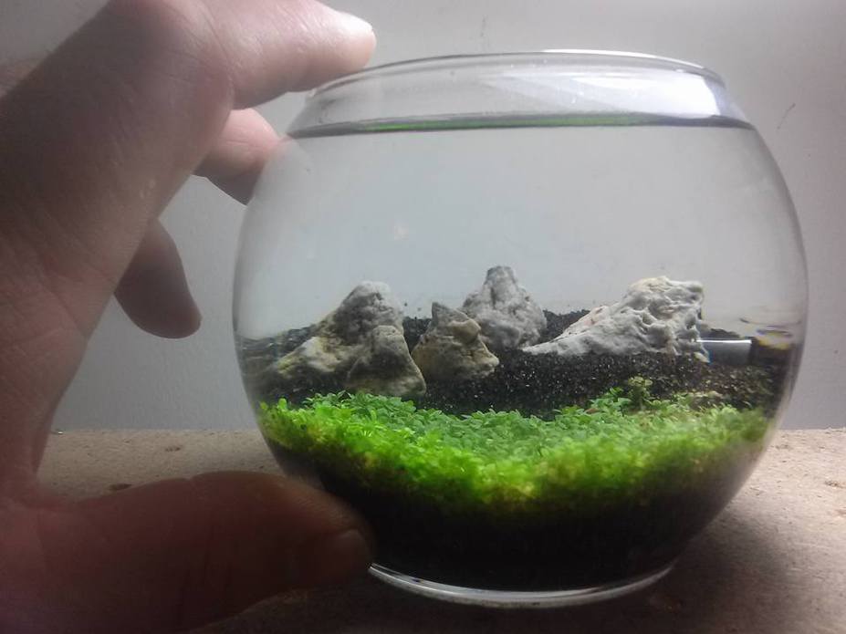 Little Rocks Small 3