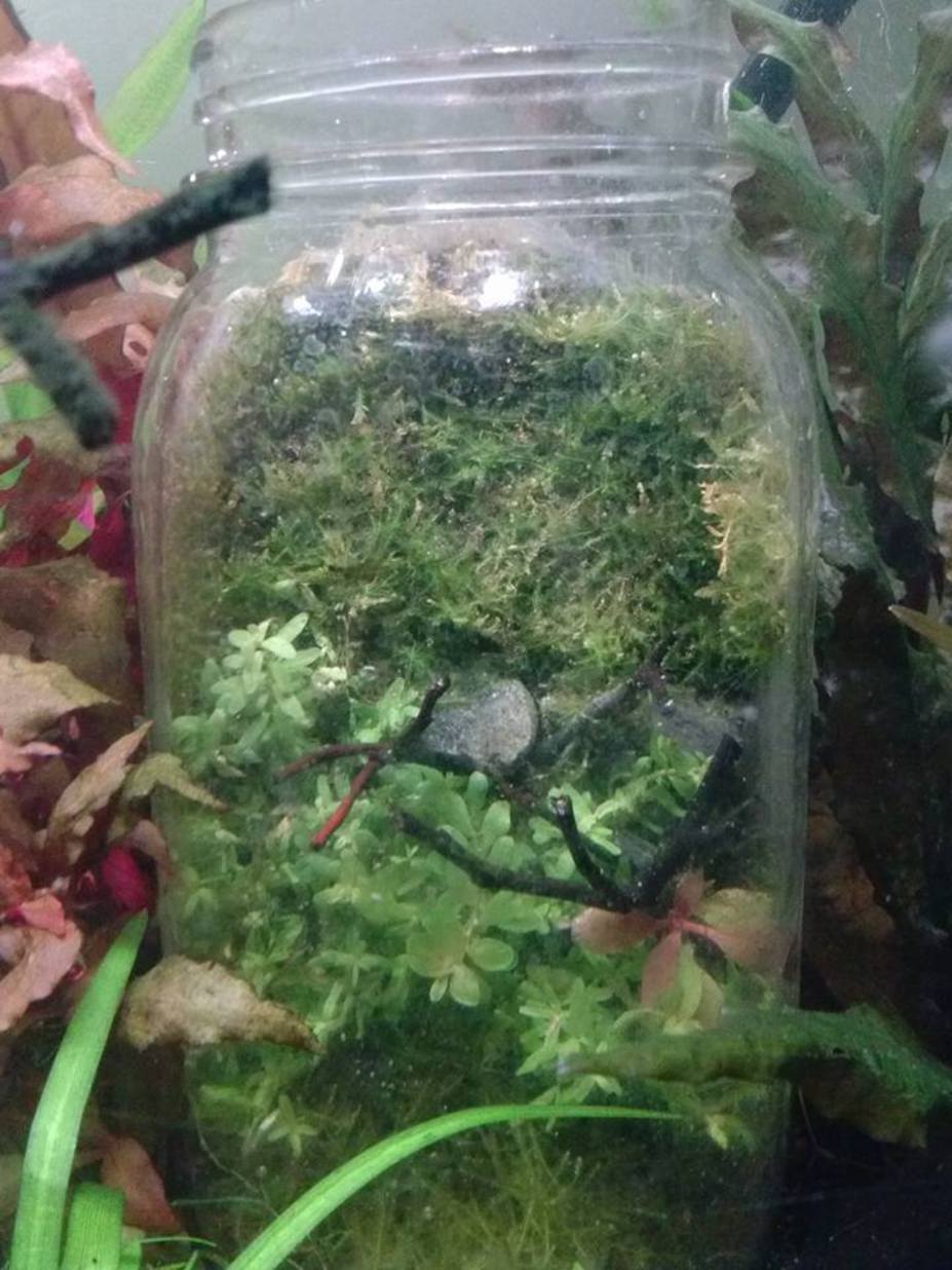 Jar Small 2