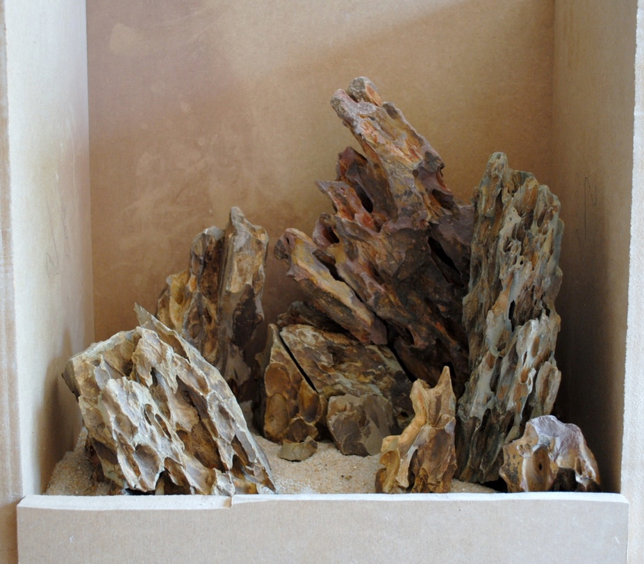 23L "The Rocky Plain" Small 2