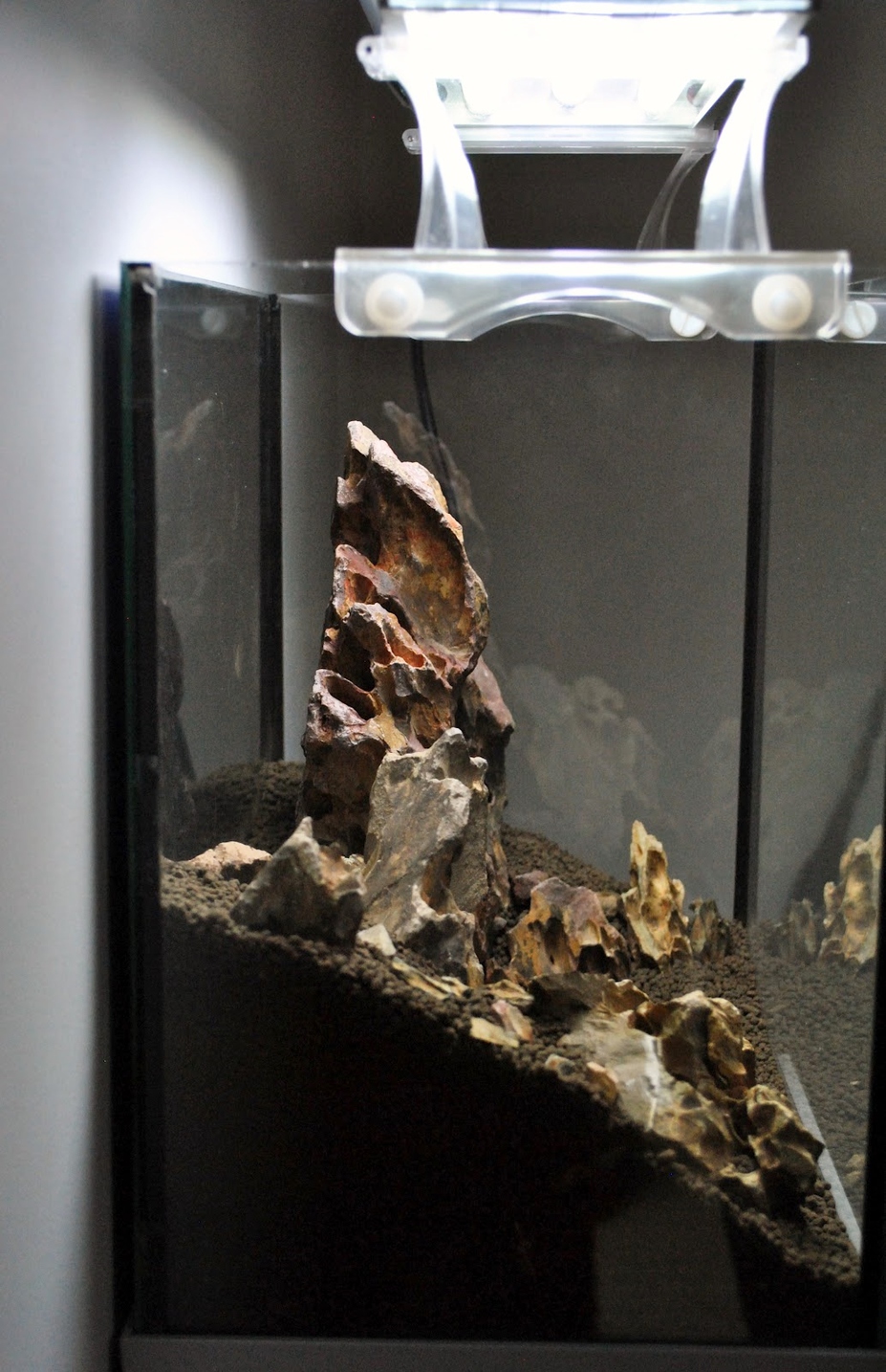 23L "The Rocky Plain" Small 3