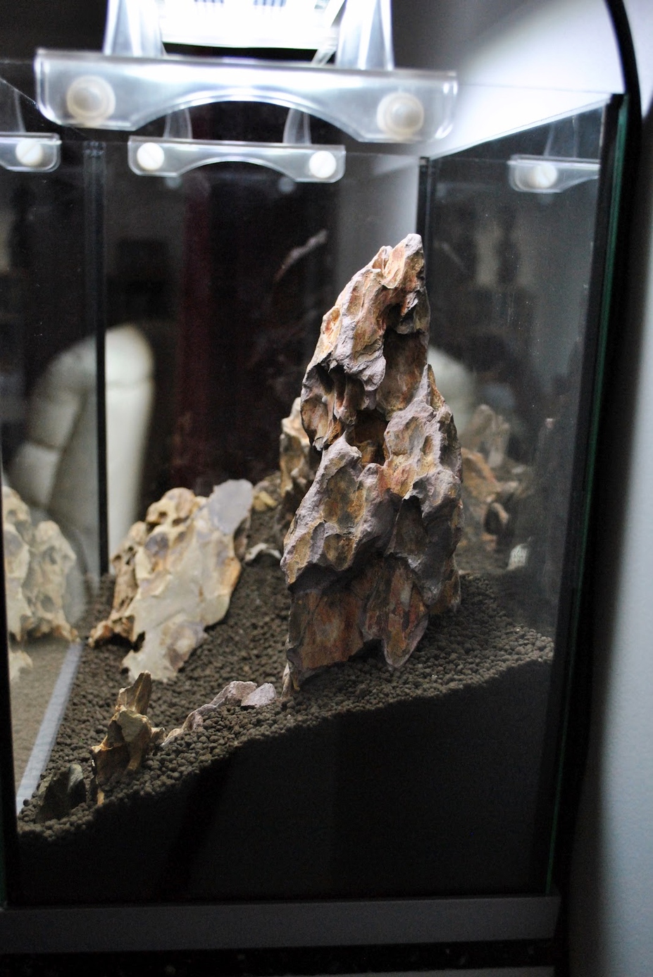 23L "The Rocky Plain" Small 4
