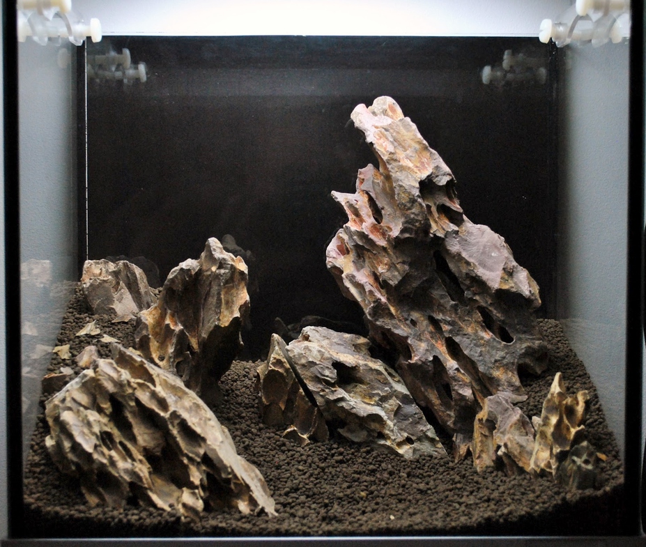 23L "The Rocky Plain" Small 5