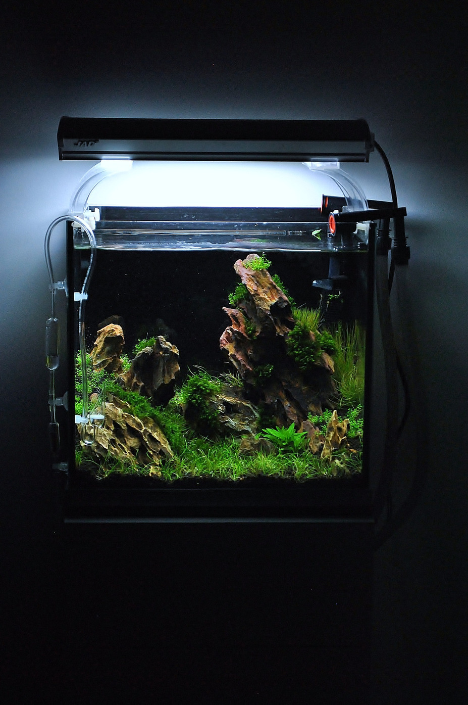 23L "The Rocky Plain" Small 10
