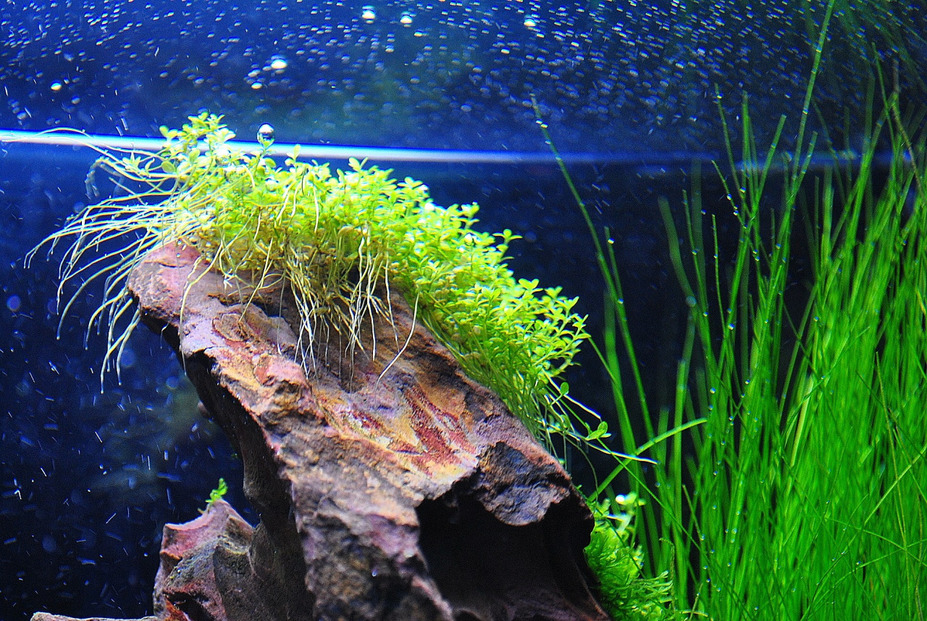 23L "The Rocky Plain" Small 11