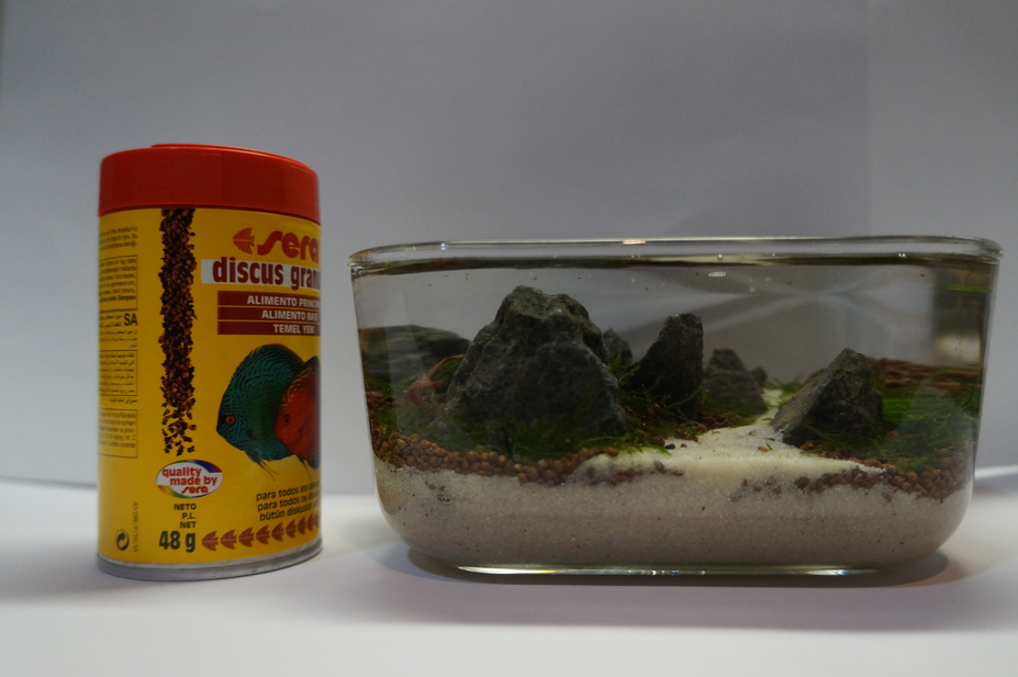 the enchanted mountains Small 2