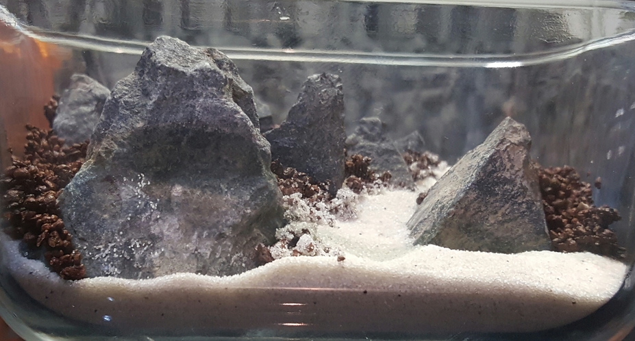 the enchanted mountains Small 4