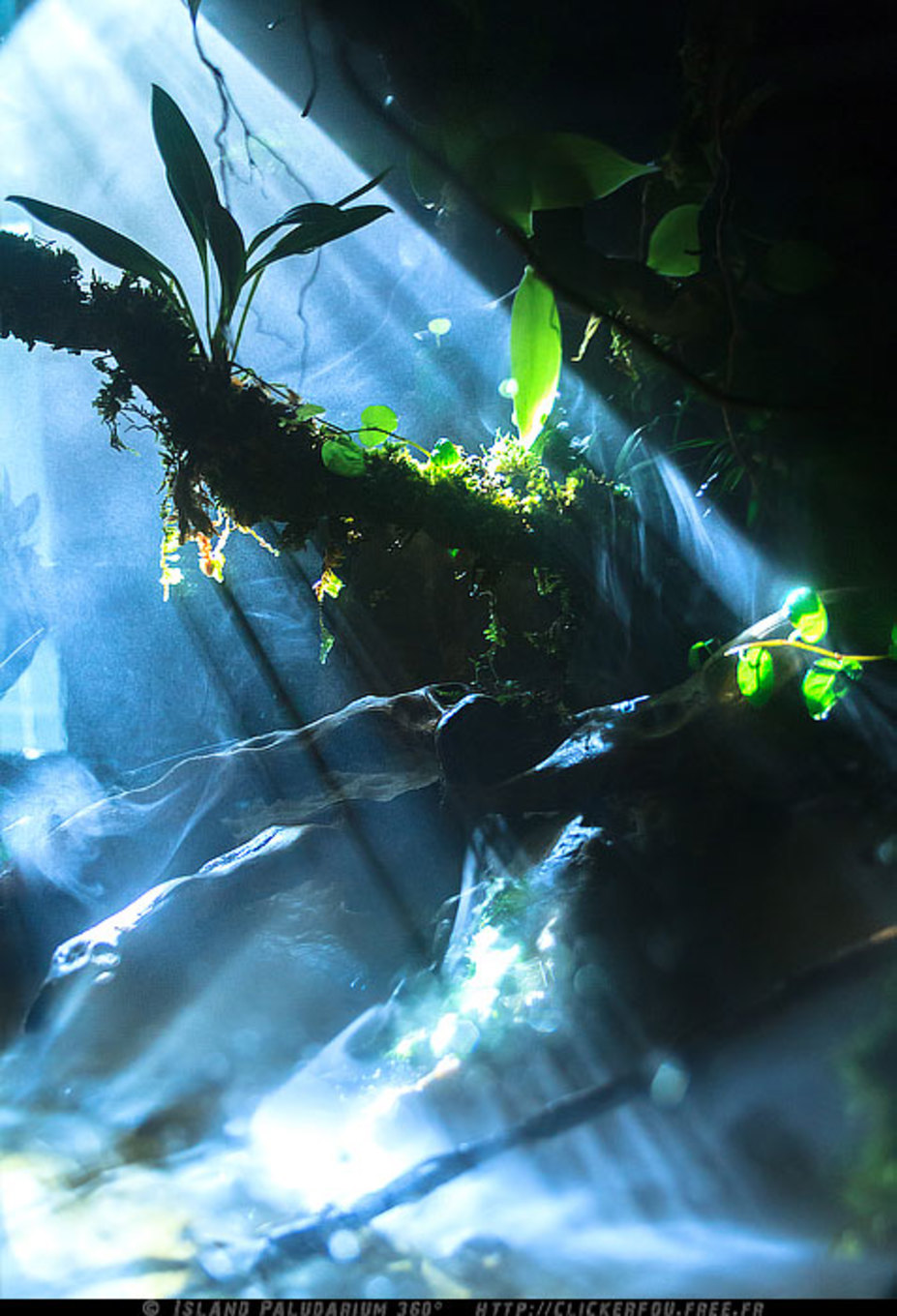 Island Paludarium 360° Small 3