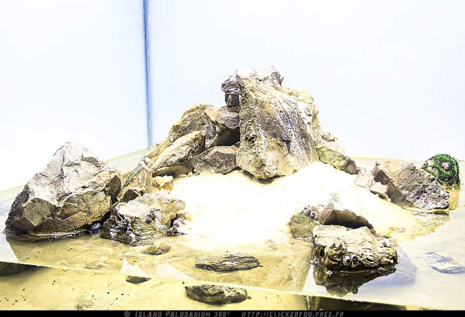 Island Paludarium 360° Small 10