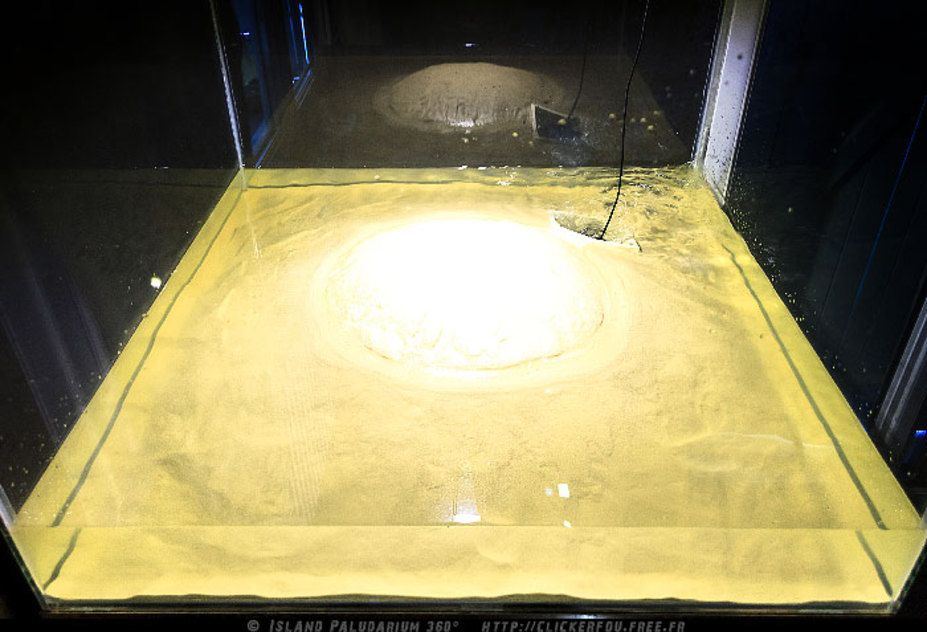 Island Paludarium 360° Small 11