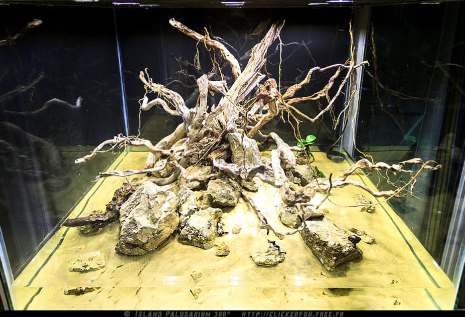 Island Paludarium 360° Small 12