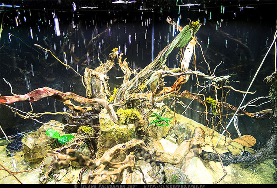 Island Paludarium 360° Small 13