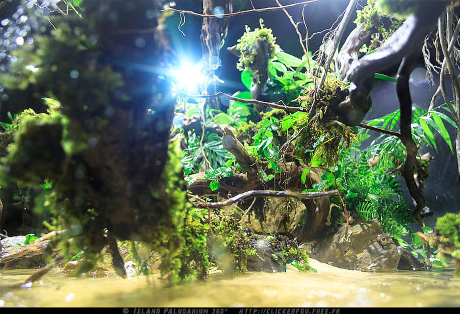 Island Paludarium 360° Small 15