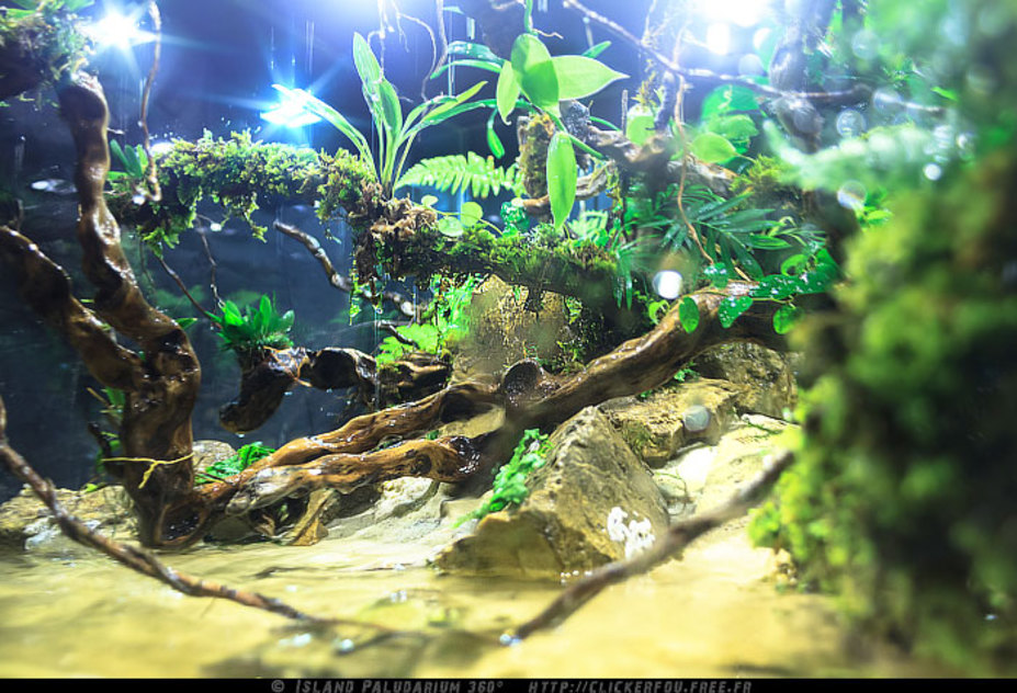 Island Paludarium 360° Small 16