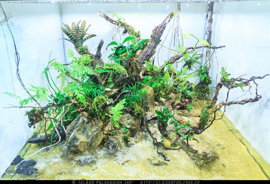 Island Paludarium 360° Small 18
