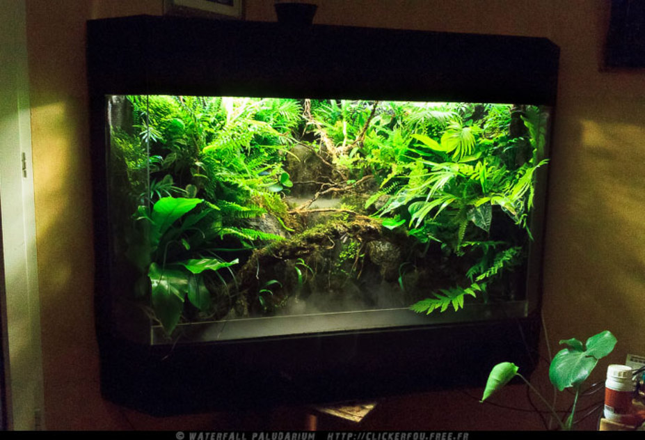 Waterfall Paludarium Small 2