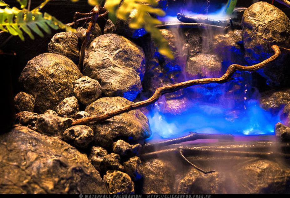 Waterfall Paludarium Small 8