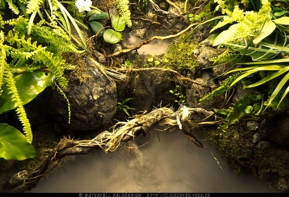 Waterfall Paludarium Small 9
