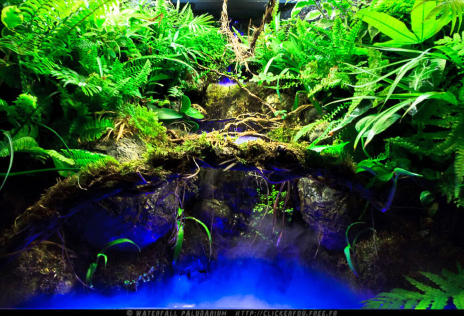 Waterfall Paludarium Small 10