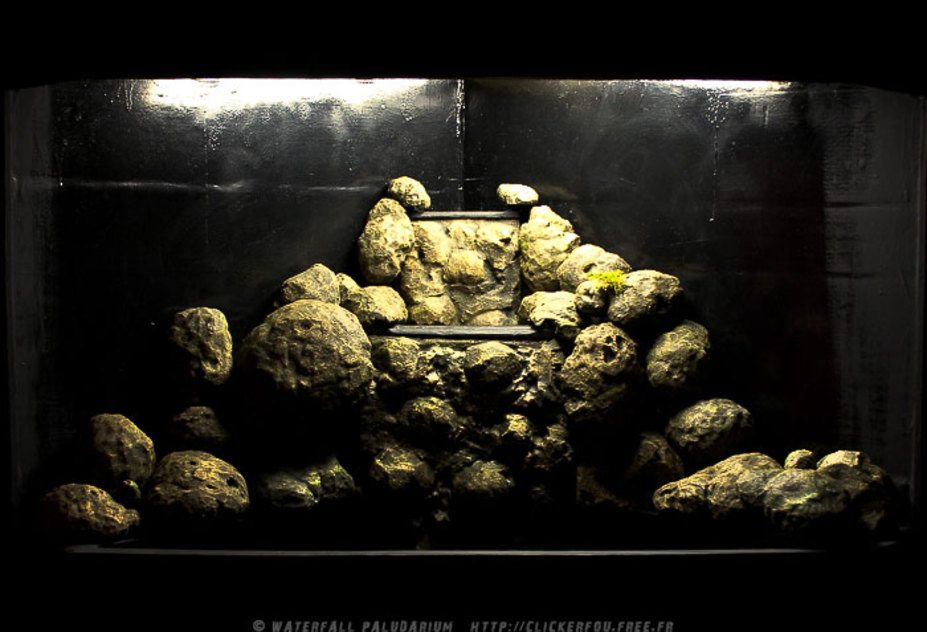 Waterfall Paludarium Small 14