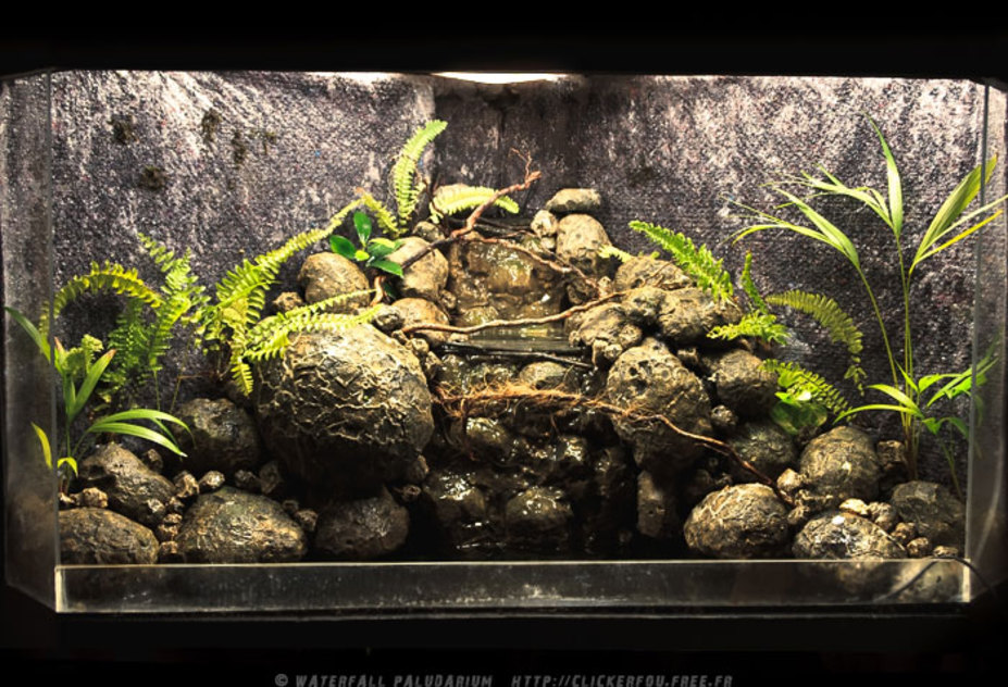 Waterfall Paludarium Small 15