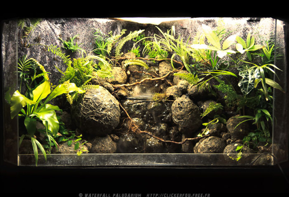 Waterfall Paludarium Small 16