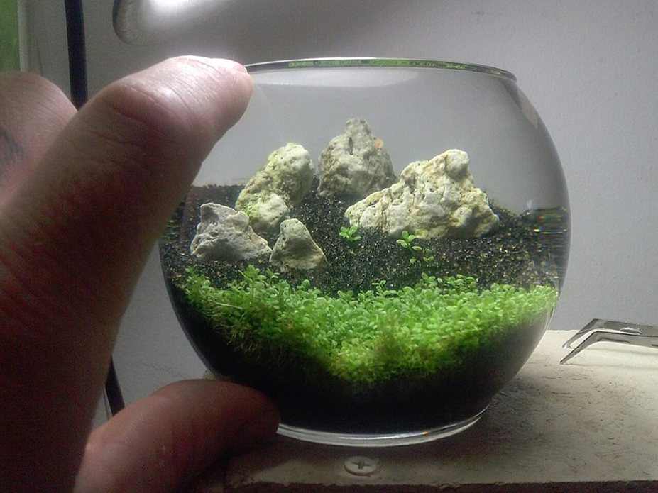 Little Rocks Small 2