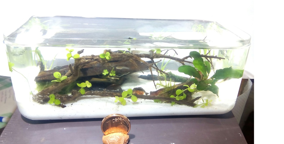 renacer de la naturaleza Small 2