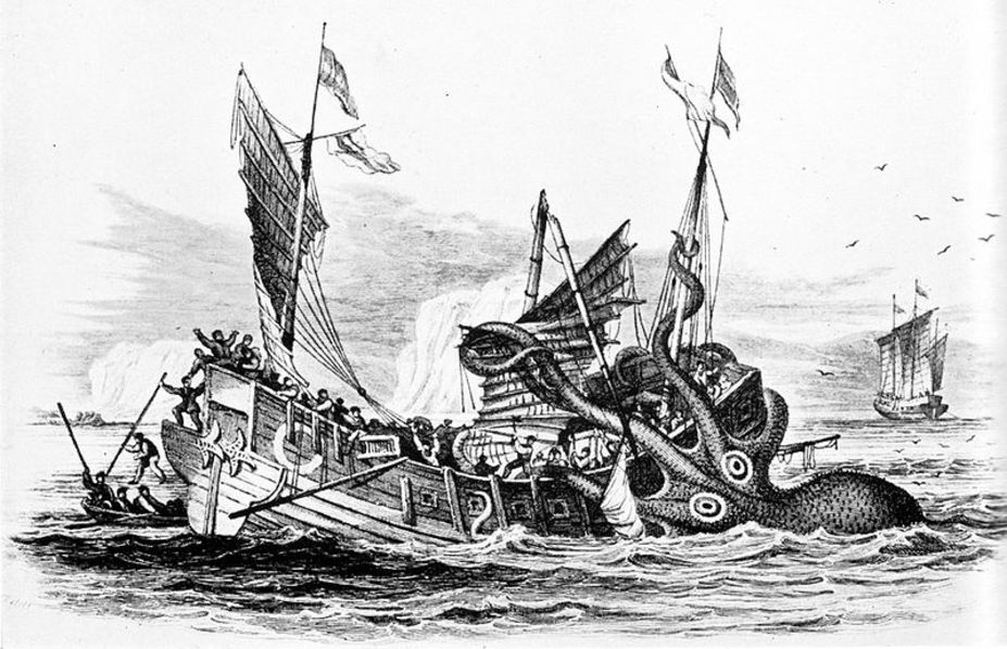 Kraken attack  Small 6