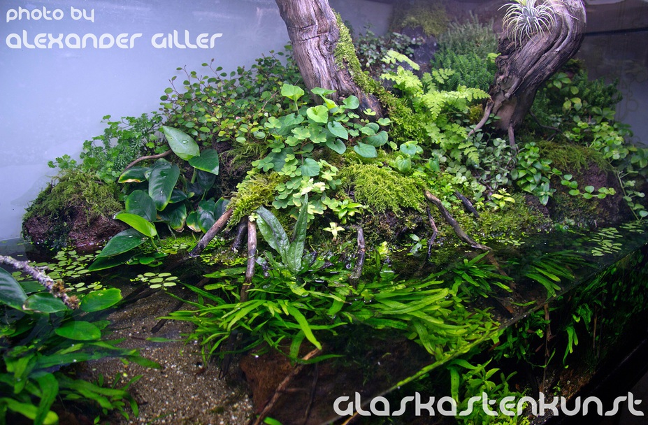 Mother Nature Small 2