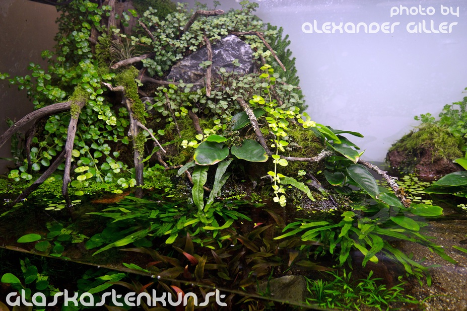 Mother Nature Small 3