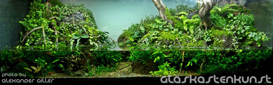 Mother Nature Small 4
