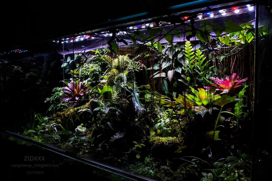 Tropical heaven Small 10