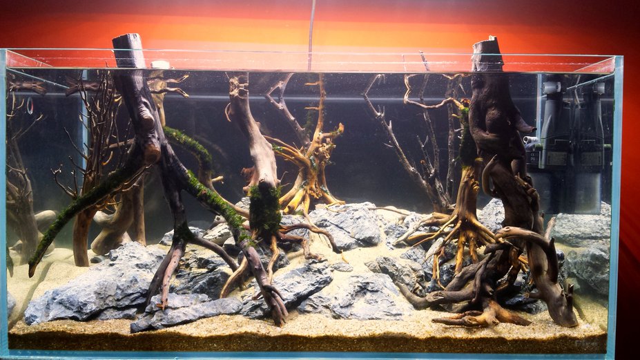 Mirkwood Small 3