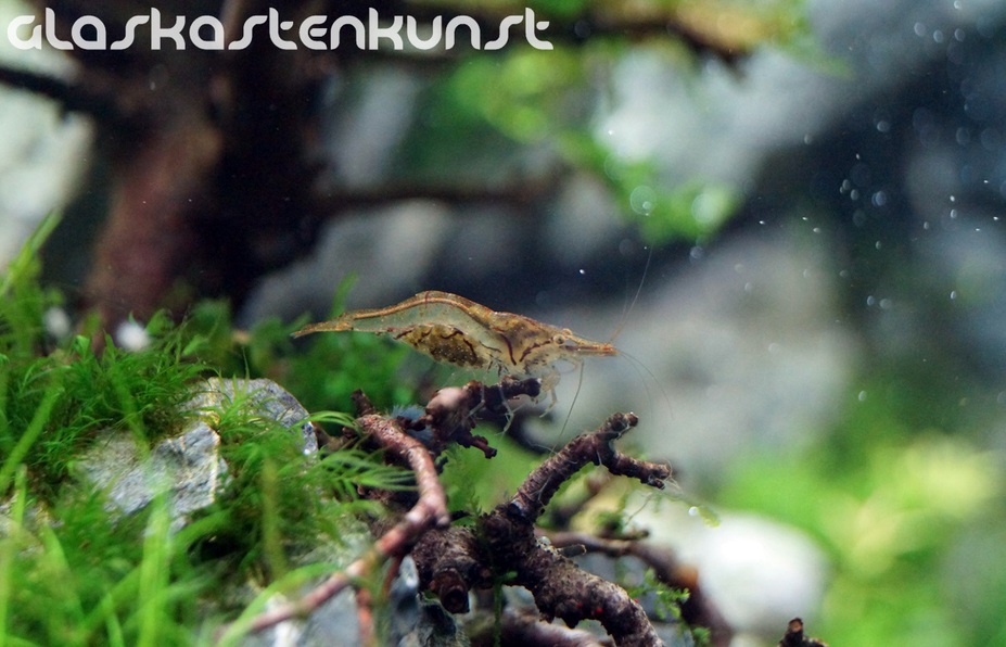 Hiking Tour Small 2