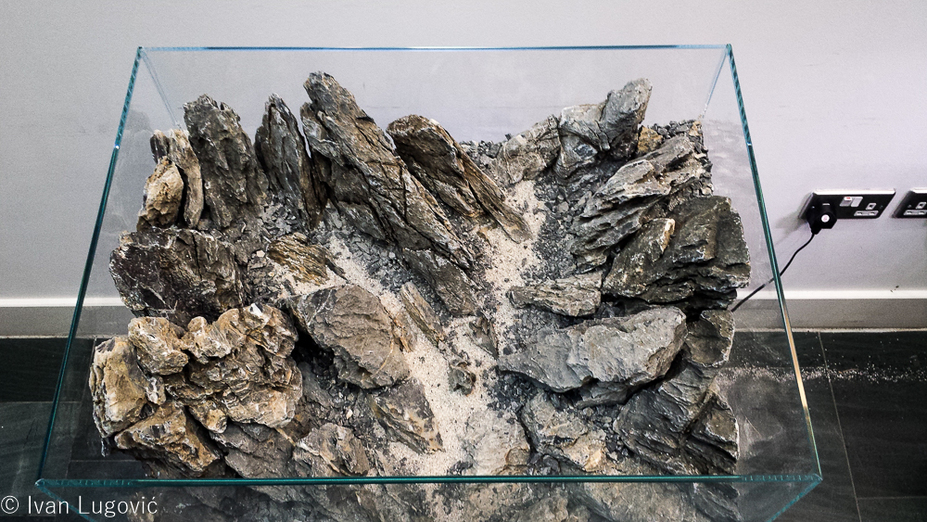 UKAPS Hardscape Challenge Final Small 2