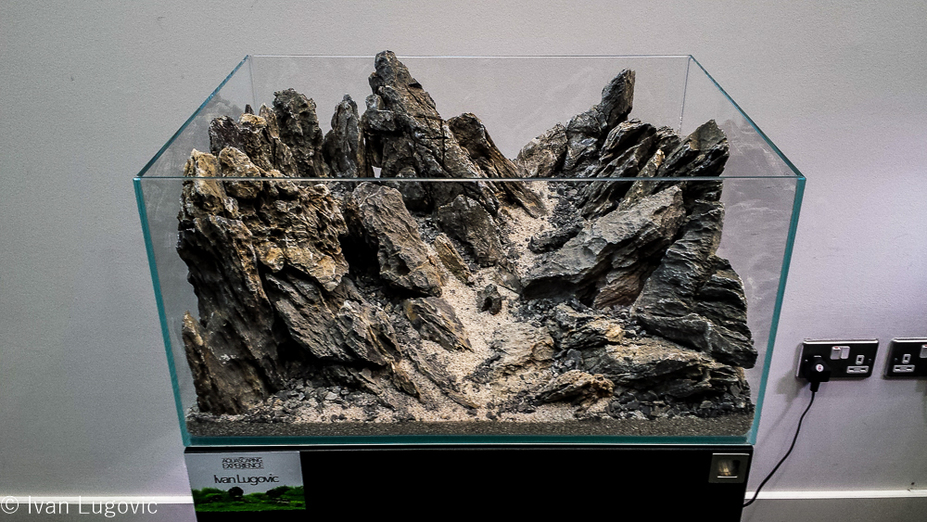 UKAPS Hardscape Challenge Final Small 3