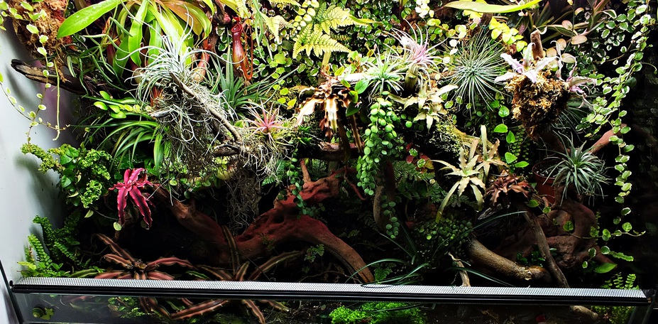 tropical garden Small 3