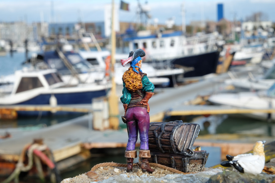 Anne Bonny - The Beauty and the Booty Small 6