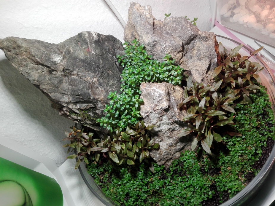 The Mountain Small 2