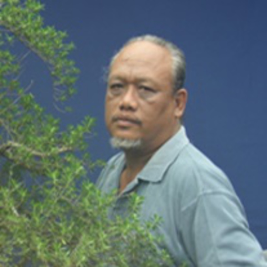 Gede merta