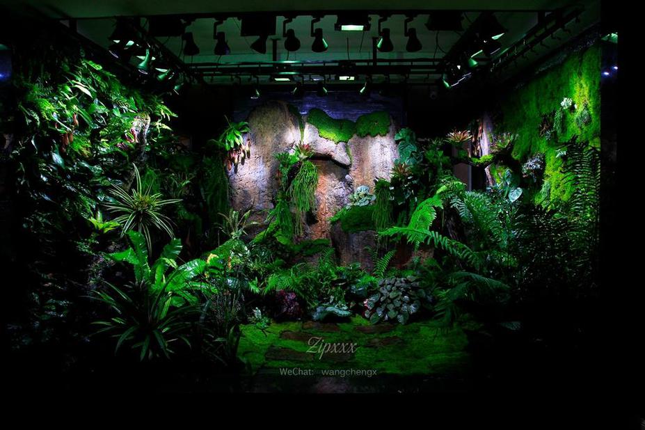 Huge Paludarium room Small 3