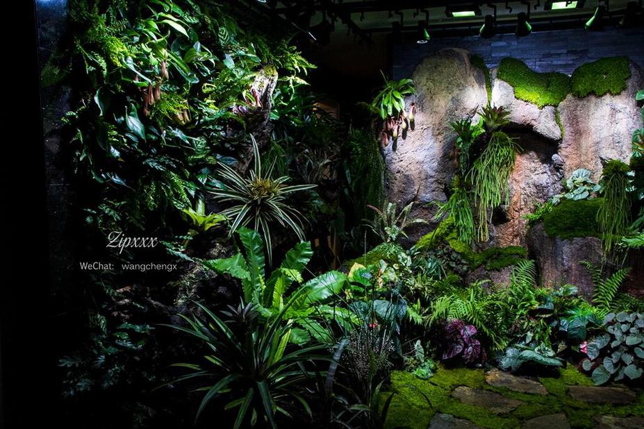 Huge Paludarium room Small 8