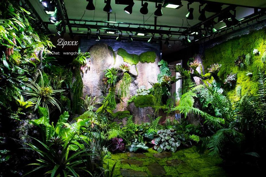 Huge Paludarium room Small 12
