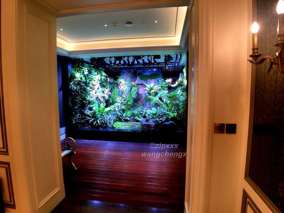 Huge Paludarium room Small 15