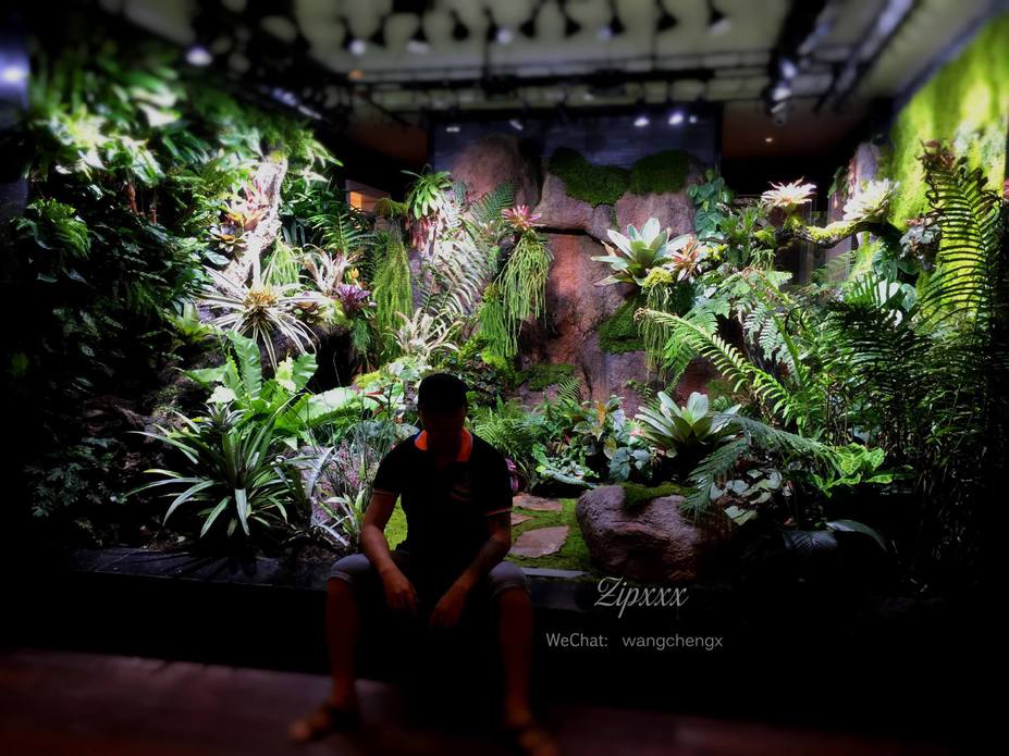 Huge Paludarium room Small 16